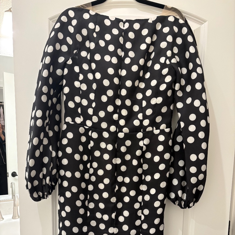 Carolina Herrera Dress